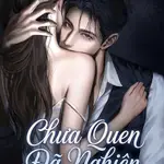 Chưa Quen Đã Nghiện