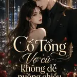 Cố Tổng Vợ Cũ Không Dễ Nuông Chiều
