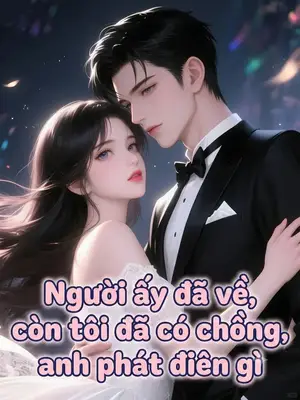 Ảnh bìa của Người Ấy Đã Về, Còn Tôi Đã Có Chồng, Anh Phát Điên Gì